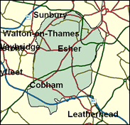 Esher & Walton - Local Map of the constituency