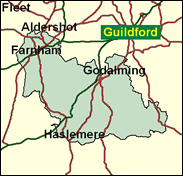 Surrey South West - Local Map of the constituency